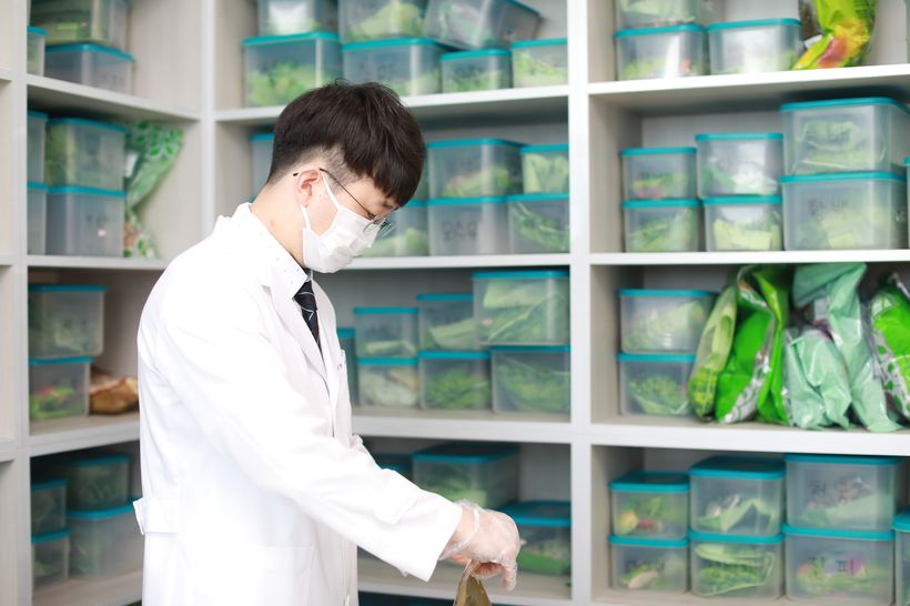 다인한의원 대표원장 직접 약재 계량 조제